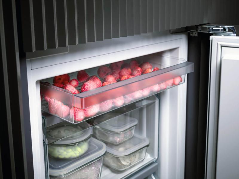 freezer (1)